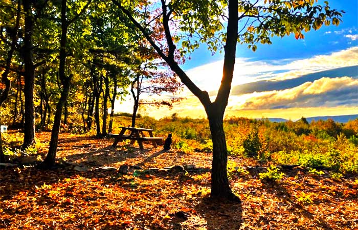 100 Mile View Campground Site View