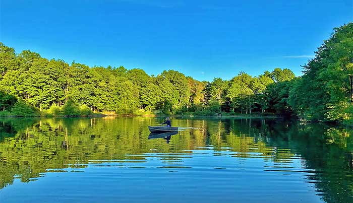 1880s Forest Cabin pond