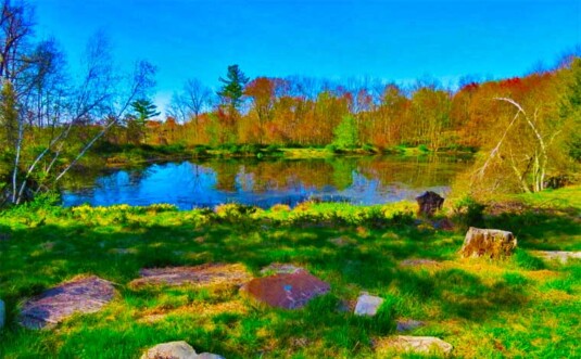 225 Rt 390 Land View