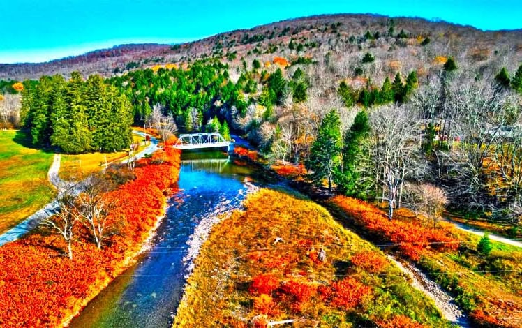 97.8 Acre Beaverkill River Frontage Photo