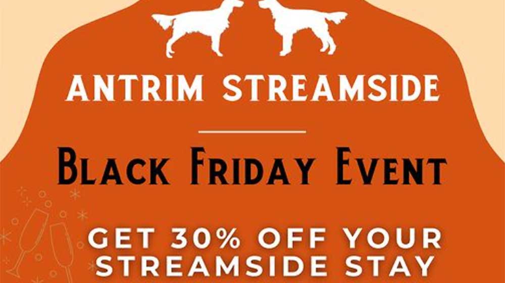 Antrim Streamside Black Friday Poster