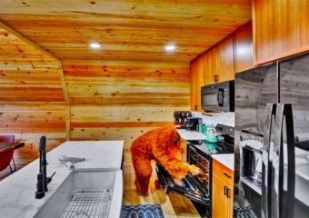 Apex A-Frame Kitchen