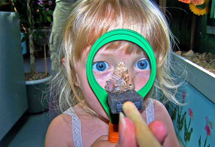 Bear Mountain Butterfly Sanctuary little girl with magnifying glass