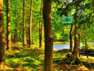 Beechwood Cove Lakefront