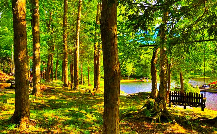 Beechwood Cove Lakefront