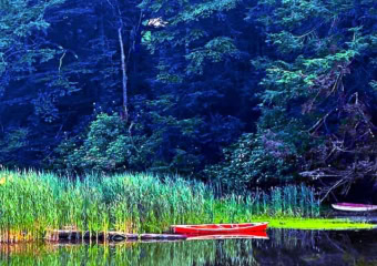 Bittersweet Bungalow Lake Paradise