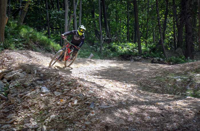 blue mountain ski area mountain biker in the trees going downhill