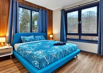 Blue Pond Ultra-Modern Bedroom