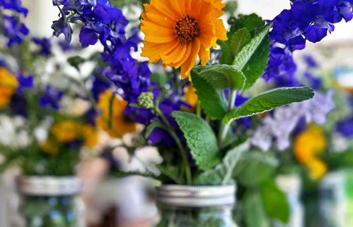 Breezy Hill Farms Flowers