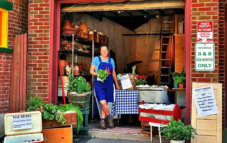 Breezy Hills Farm Stand