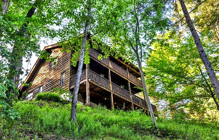 Back of the Cabin