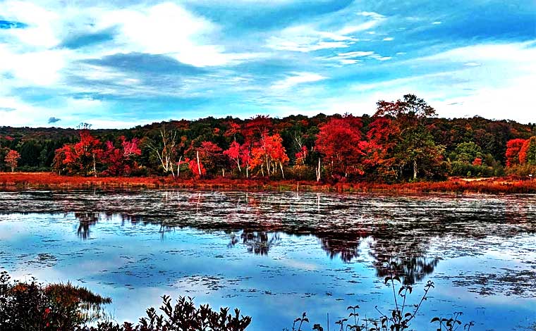 Browning Beaver Meadow Sanctuary Water