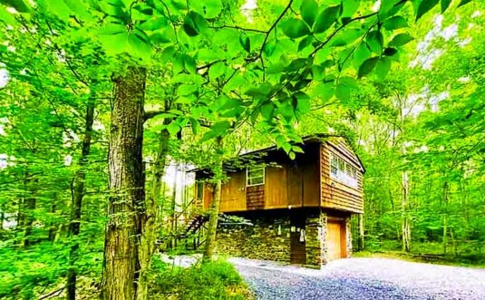 Cabin/Treehouse in Pocono Lake Exterior