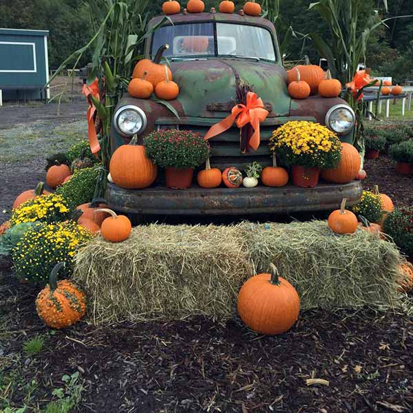 Cavage's Country Farm Market - Poconogo