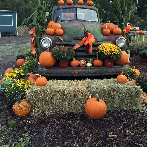 Cavage’s-Country-Farm-Market-pumpkins-and-vintage-green-truck-and-hay-bales