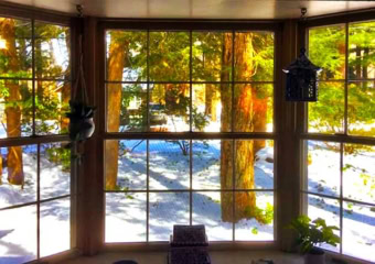 Classic Pocono Mountain Cottage Bay Window