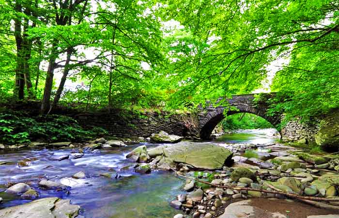 Clementine Creekhouse Beautiful Hawkins Creek