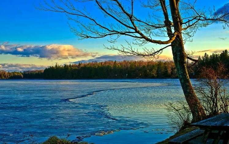 Conservation Island Nature Trail view of lake