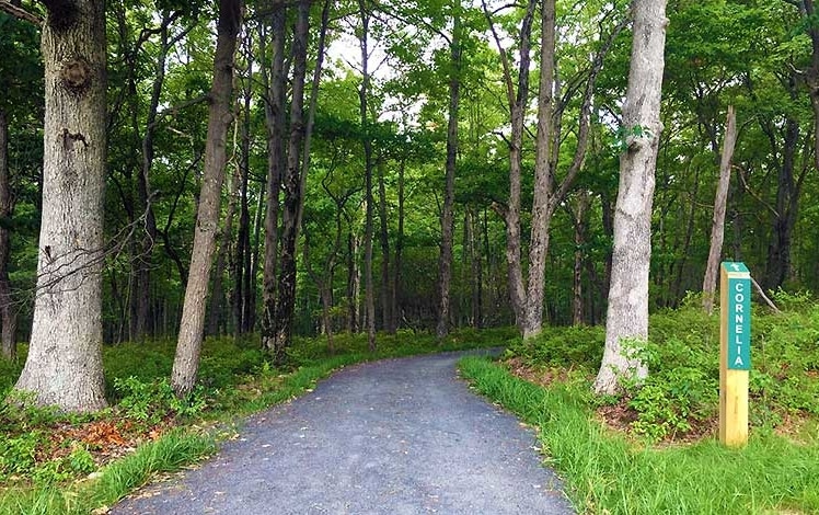 Cornelia & Florence Bridge Nature Preserve cornelia trail