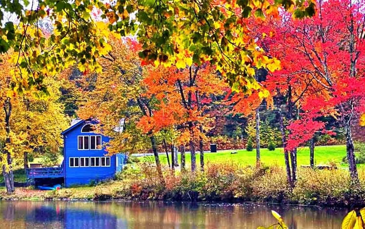 Cozy Lake House in Swan Lake Exterior