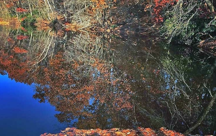 D&L trail along river in fall