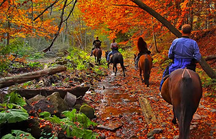 Daisy Field Farm Riding in Fall