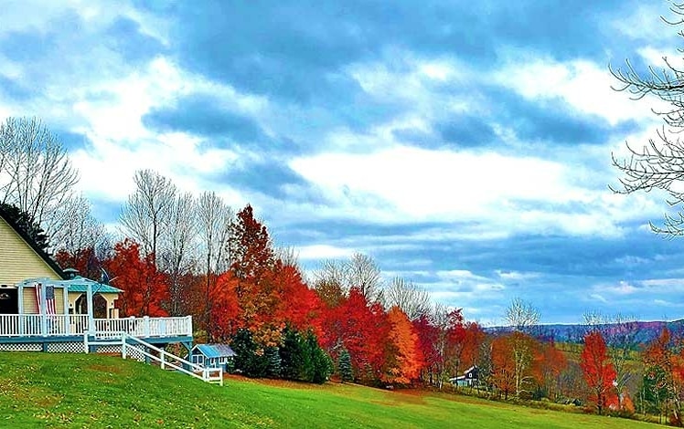 Deer Hollow Callicoon Exterior