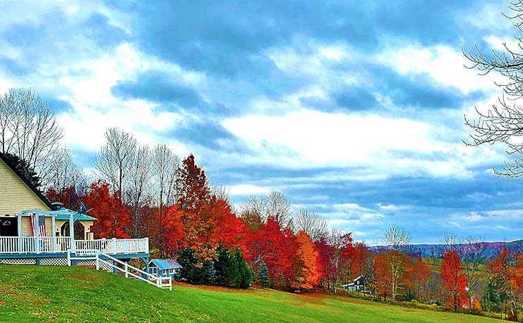 Deer Hollow Callicoon Exterior