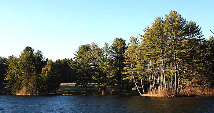 Dorflinger-Suydam-Wildlife-Sanctuary-main-lake