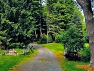 Dorflinger Suydam Wildlife Sanctuary path through the woods