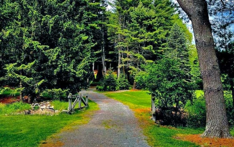 Dorflinger Suydam Wildlife Sanctuary path through the woods