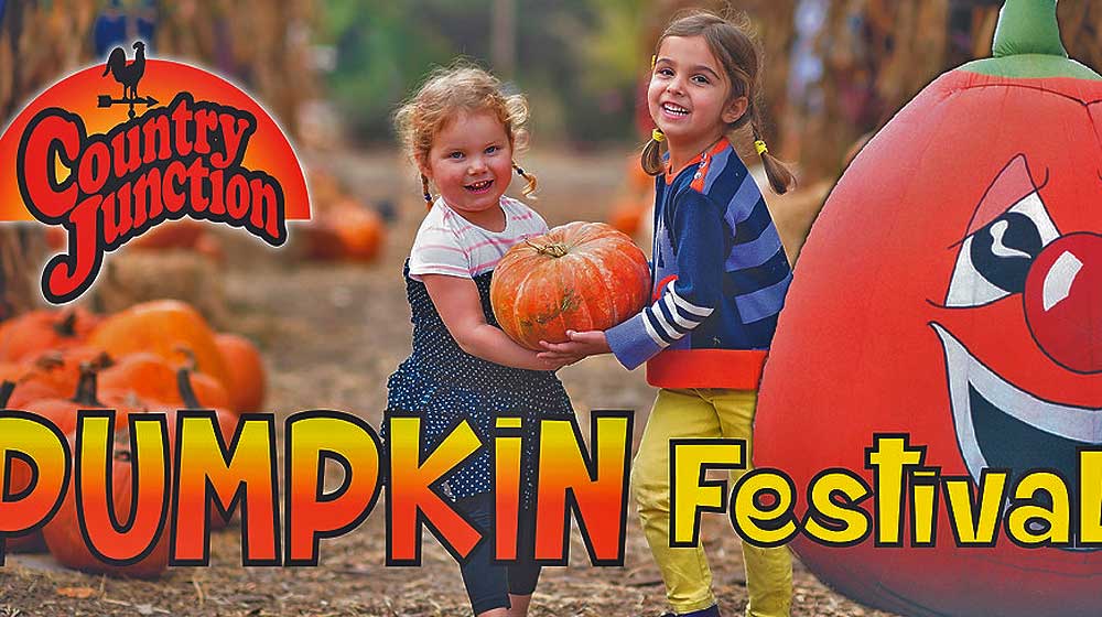Country Junction Pumpkin Festival Poster
