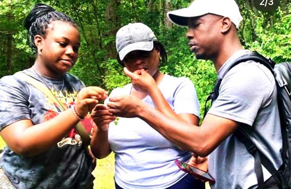 Event Edible and Medicinal Plant Walk