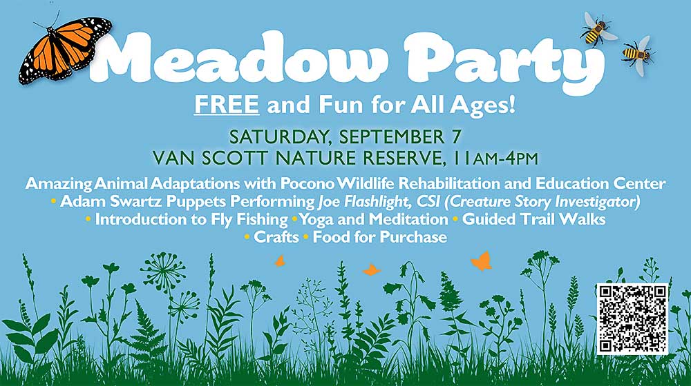 Event Meadow Party Poster