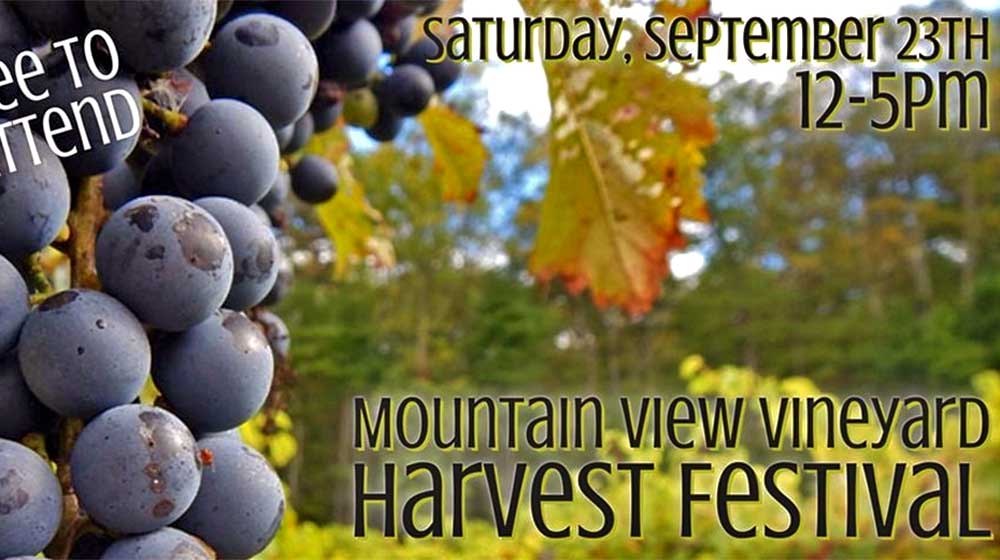 Mountain View Harvest Festival Poster