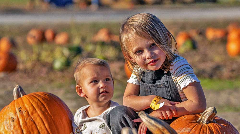 Roba's Pumpkin Harvest Festival