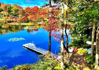 Fern Cove Dock