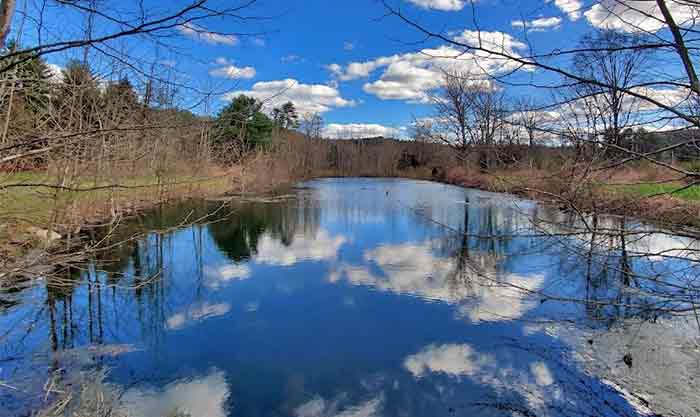 ForEvergreen Nature Preserve brodhead creek