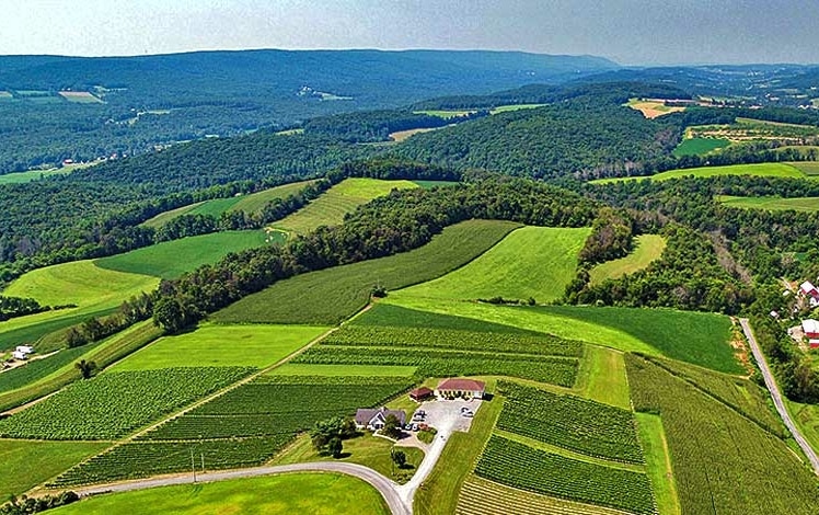 galen glen winery aerial view