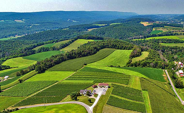 galen glen winery aerial view