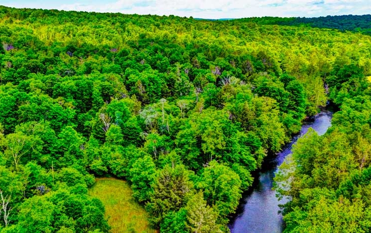 Gilpin Road Aerial View