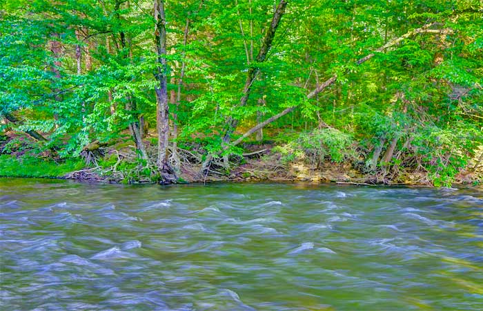 Gilpin Road Creek