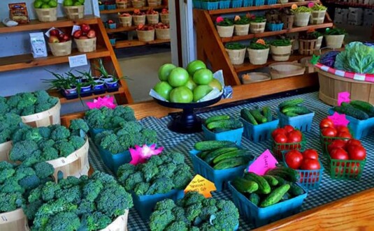 Gould's Produce fresh farm grown broccoli and cucumbers