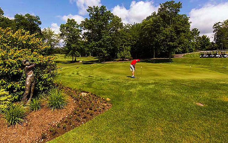 Great-Bear-Golf-Country-Club-golf-golfer