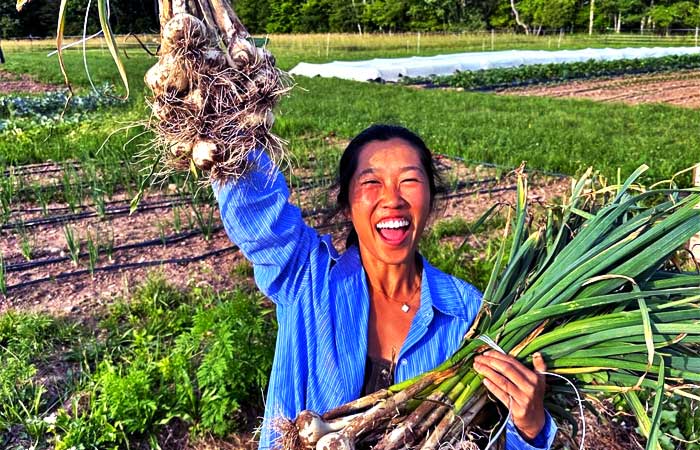 Hearty Hill Farm Garlic Bulbs