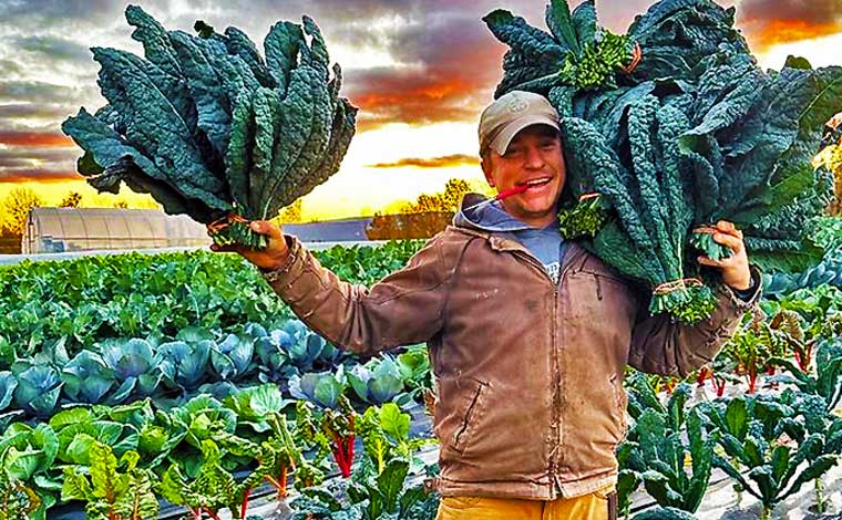 Hearty Hill Farm Kale Harvest