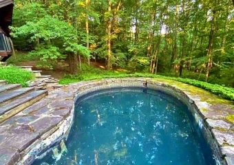 Hidden House Sanctuary Swimming Pool