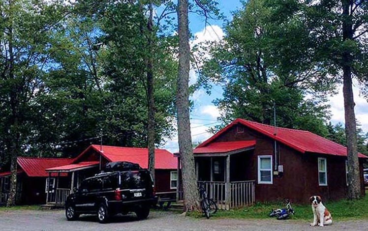 High-Country-Cottages-Motel-and-trees