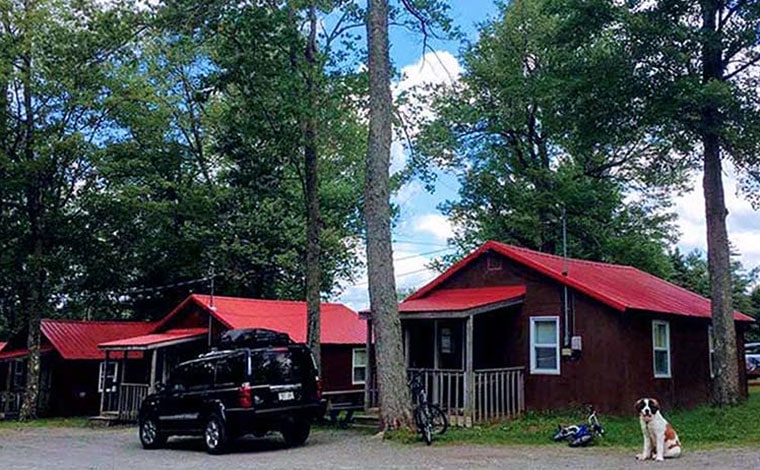 High-Country-Cottages-Motel-and-trees