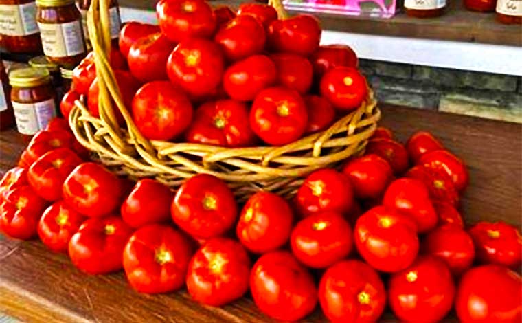 Kim and Andrew's Farm Market Tomatoes